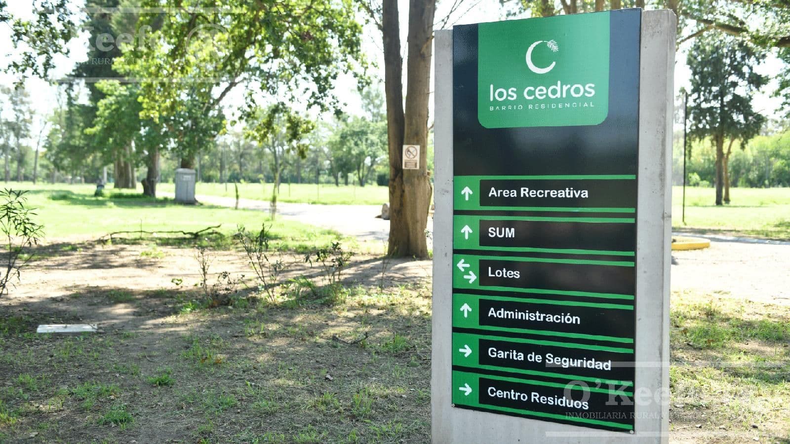Los Cedros